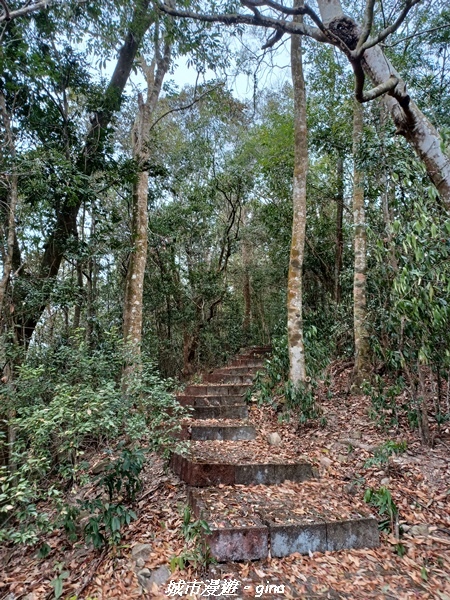 20230225_095204.jpg 20230225_095204.jpg