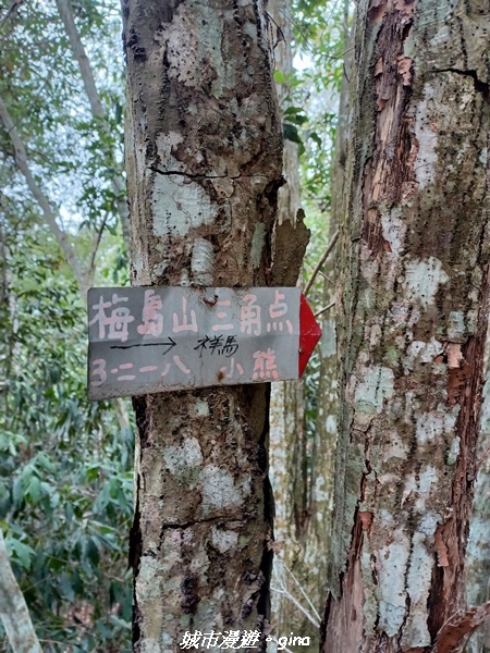 20230225_095252.jpg 20230225_095252.jpg