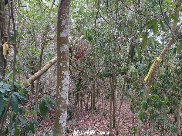 20230225_095255.jpg 20230225_095255.jpg