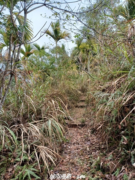 20230225_100839.jpg 20230225_100839.jpg