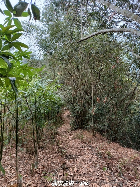 20230225_102151.jpg 20230225_102151.jpg