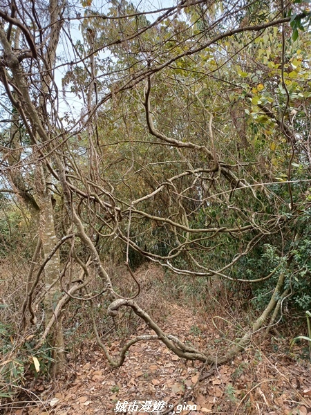 20230225_102625.jpg 20230225_102625.jpg