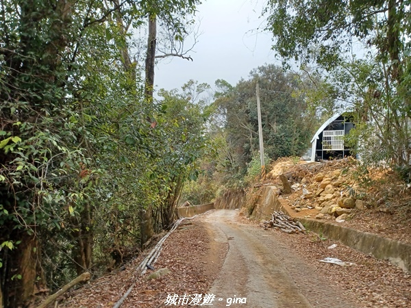 20230225_102949.jpg 20230225_102949.jpg