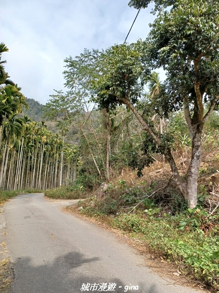 20230225_115734.jpg 20230225_115734.jpg