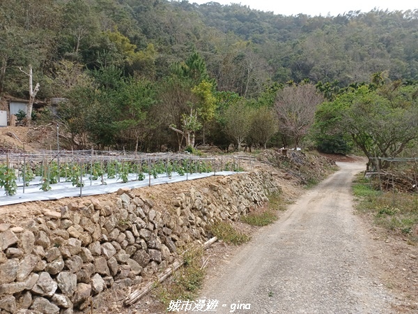 20230225_120052.jpg 20230225_120052.jpg