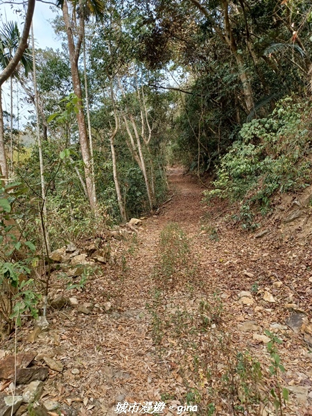 20230225_120420.jpg 20230225_120420.jpg