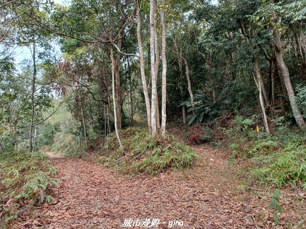 20230225_125751.jpg 20230225_125751.jpg