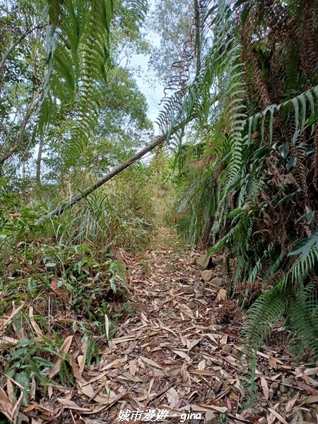 20230225_130448.jpg 20230225_130448.jpg