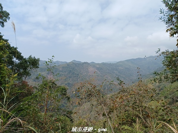 20230225_130608.jpg