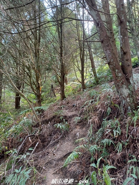 20230225_132617.jpg 20230225_132617.jpg