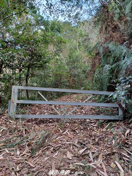 20230225_132016.jpg 20230225_132016.jpg