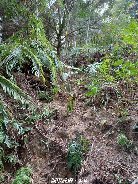 20230225_132911.jpg 20230225_132911.jpg