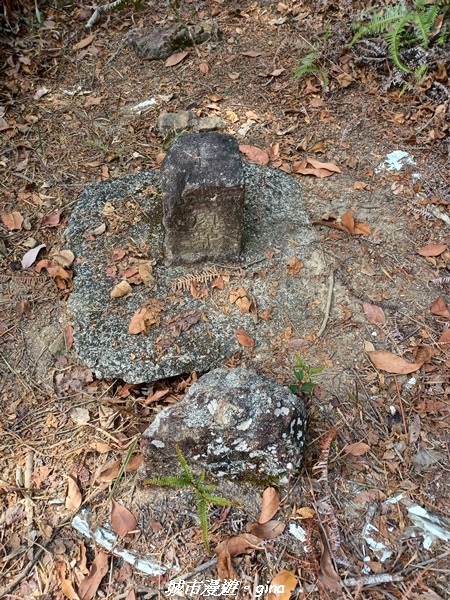 20230225_134412.jpg 20230225_134412.jpg