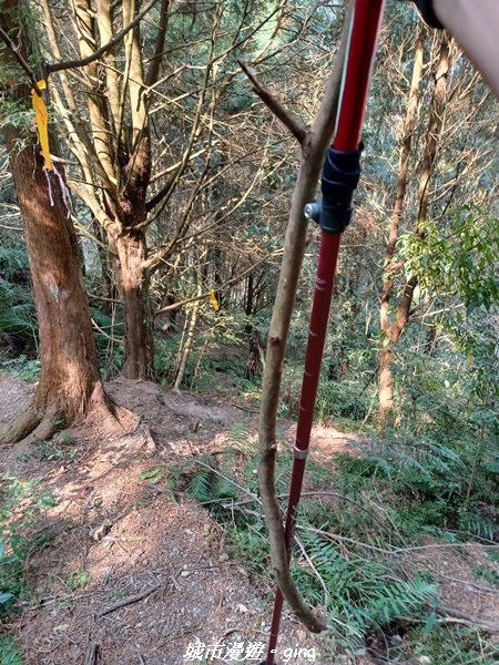 20230225_140637.jpg 20230225_140637.jpg