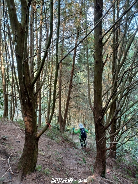 20230225_141057.jpg 20230225_141057.jpg