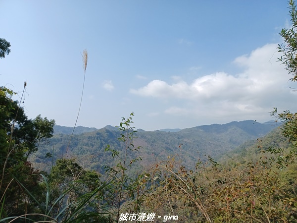 20230225_143059.jpg 20230225_143059.jpg