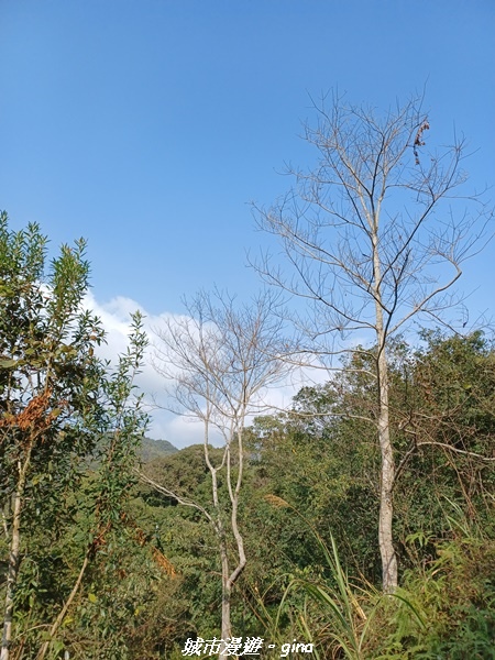 20230225_143101.jpg 20230225_143101.jpg