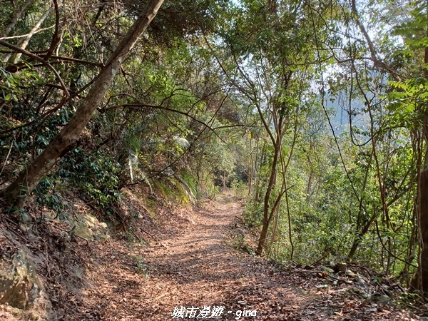 20230225_150826.jpg 20230225_150826.jpg