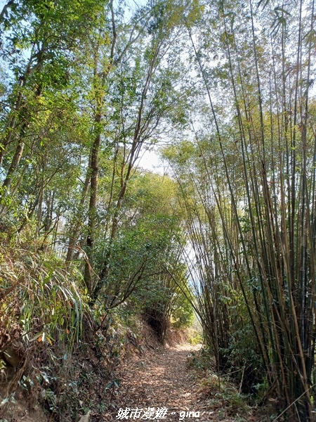 20230225_144401.jpg 20230225_144401.jpg