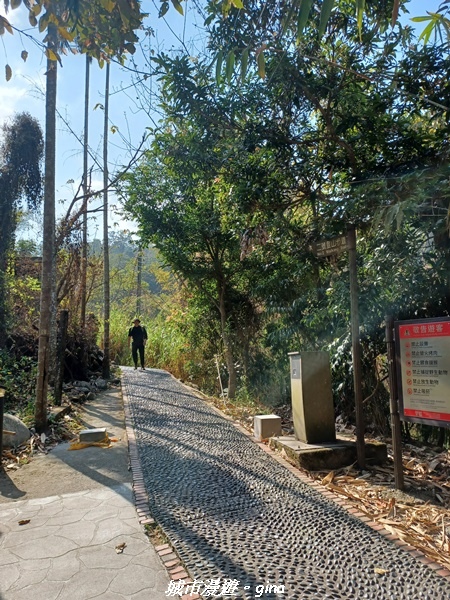 20230228_094729.jpg 20230228_094729.jpg