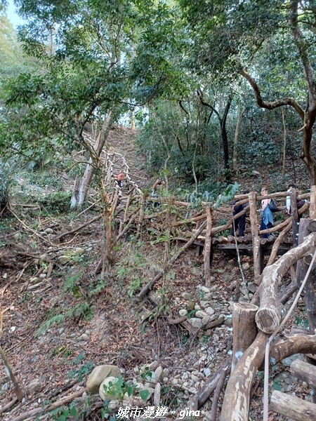 20230228_094103.jpg 20230228_094103.jpg