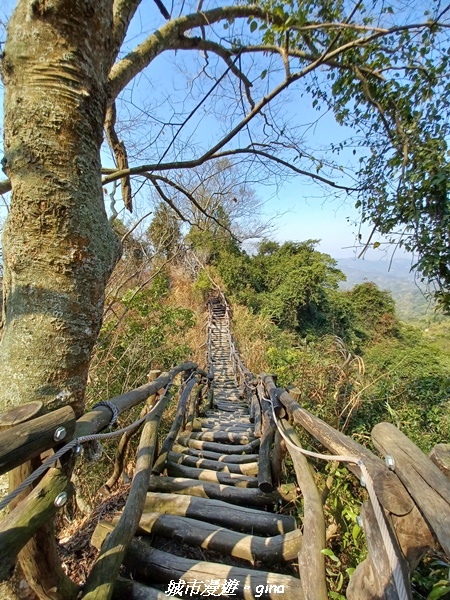 20230228_101424.jpg 20230228_101424.jpg