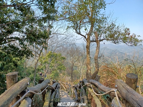 20230228_102716.jpg 20230228_102716.jpg