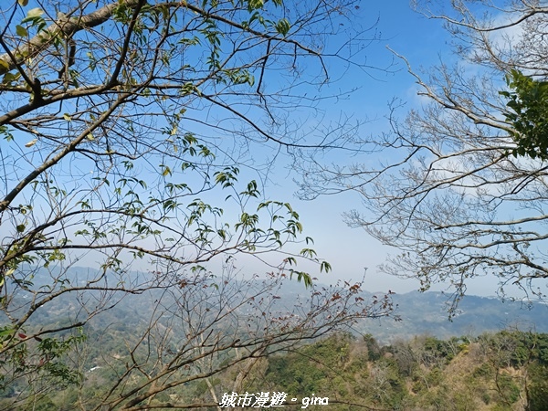 20230228_102443.jpg 20230228_102443.jpg