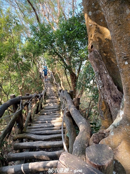 20230228_102856.jpg 20230228_102856.jpg