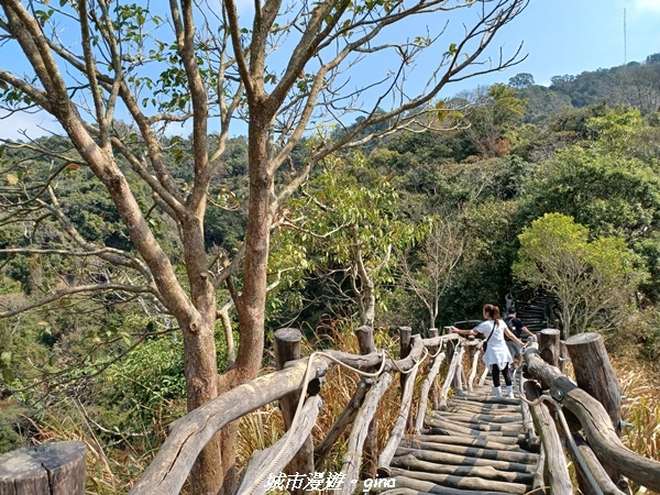 20230228_104733.jpg 20230228_104733.jpg