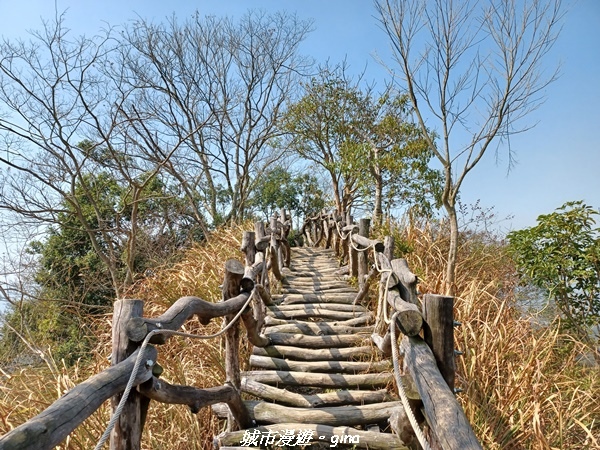 20230228_104821.jpg 20230228_104821.jpg