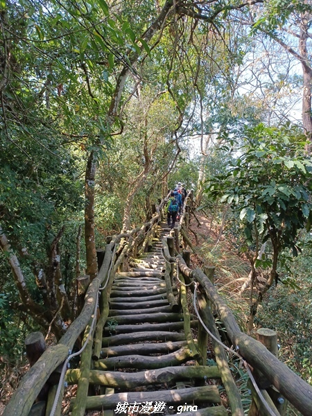 20230228_105726.jpg 20230228_105726.jpg