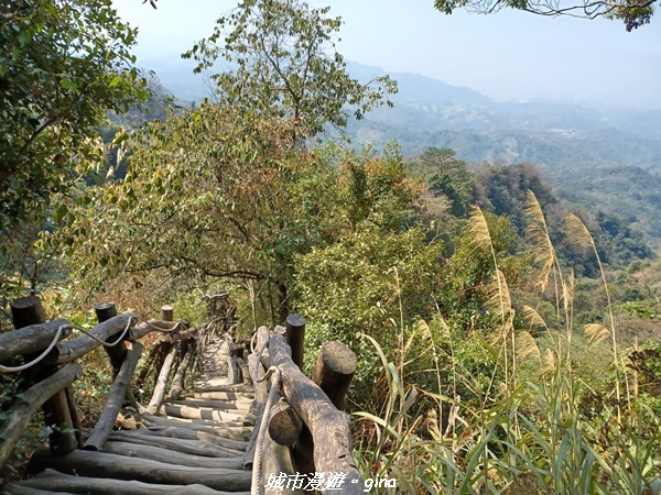 20230228_110437.jpg 20230228_110437.jpg