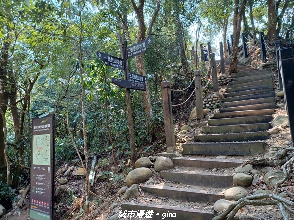 20230228_110646.jpg 20230228_110646.jpg