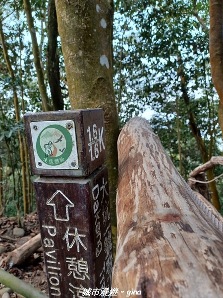 20230228_113127.jpg 20230228_113127.jpg