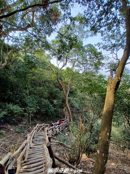 20230228_113402.jpg 20230228_113402.jpg