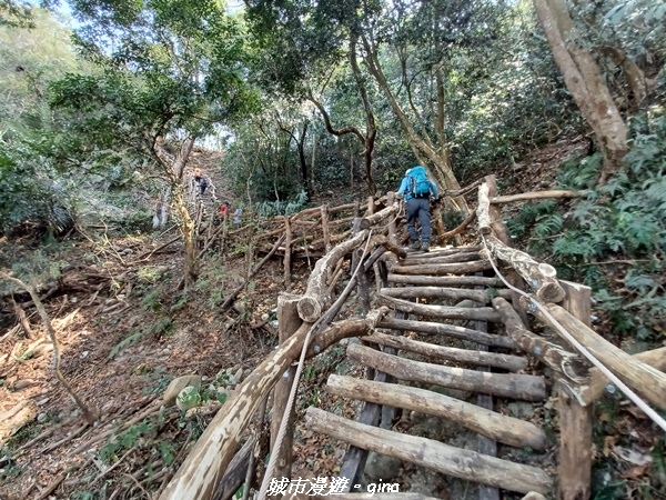 20230228_113708.jpg 20230228_113708.jpg