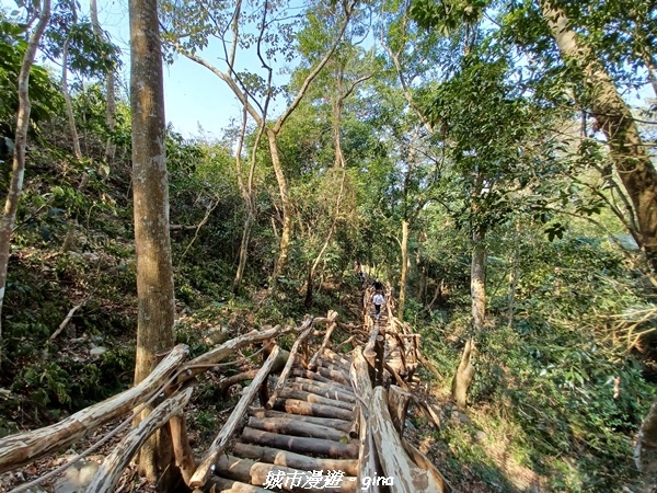 20230228_113949.jpg 20230228_113949.jpg