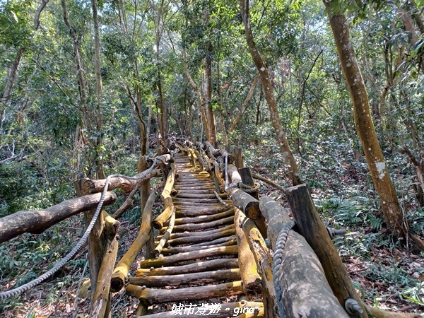 20230228_114527.jpg 20230228_114527.jpg