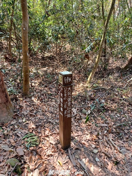 20230228_121759.jpg 20230228_121759.jpg