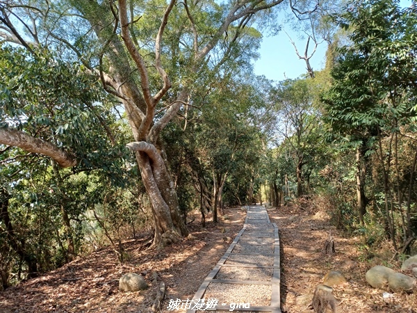 20230228_122441.jpg 20230228_122441.jpg