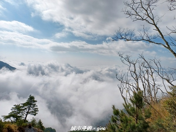 【高雄桃源】朝聖壯闊山景之南橫三星。 No77百岳~關山嶺山