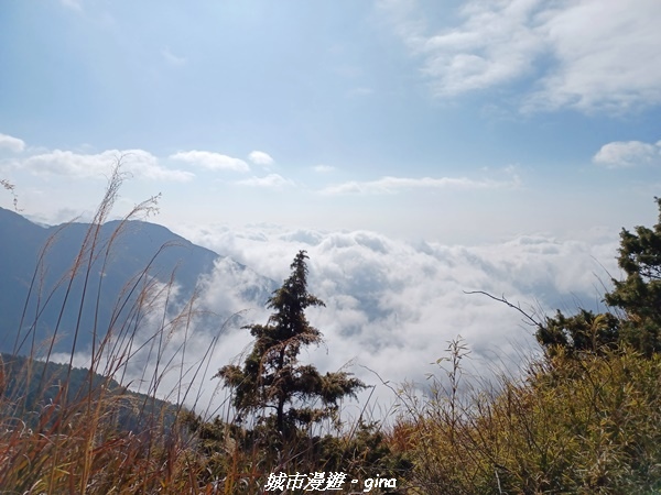 【高雄桃源】朝聖壯闊山景之南橫三星。 No77百岳~關山嶺山