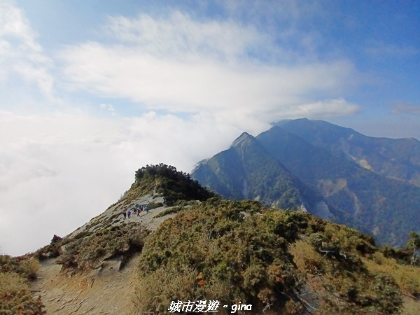 【高雄桃源】朝聖壯闊山景之南橫三星。 No77百岳~關山嶺山