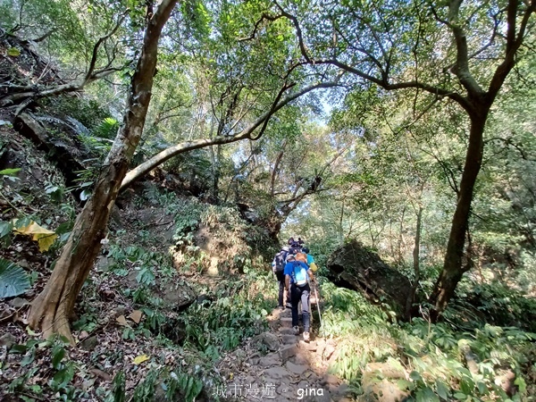 20230312_090600.jpg 20230312_090600.jpg