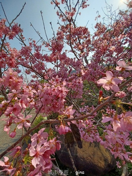 20230312_091739.jpg 20230312_091739.jpg