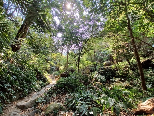 20230312_093735.jpg 20230312_093735.jpg