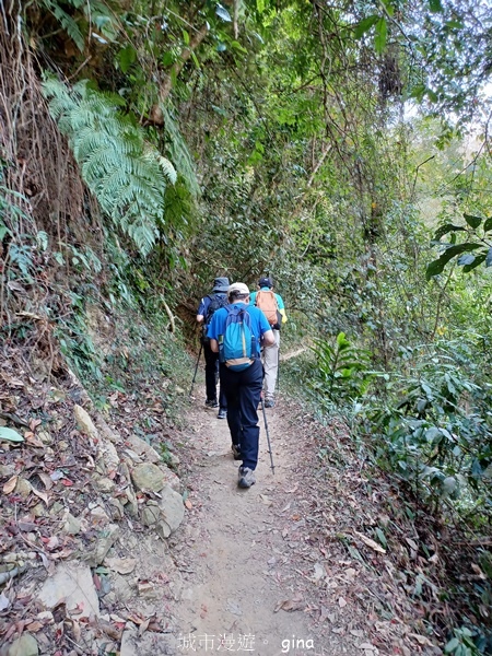 20230312_092550.jpg 20230312_092550.jpg