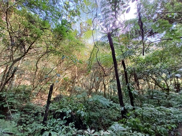 20230312_094739.jpg 20230312_094739.jpg