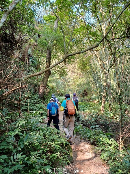 20230312_094805.jpg 20230312_094805.jpg